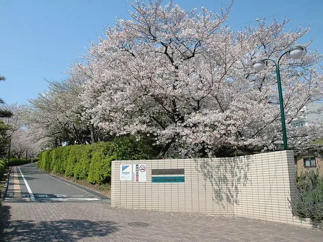 浜松西高校の外観