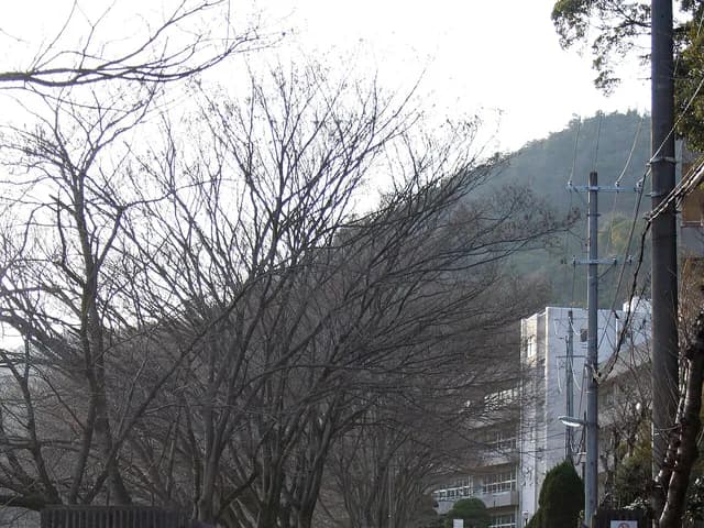琴丘高校の外観