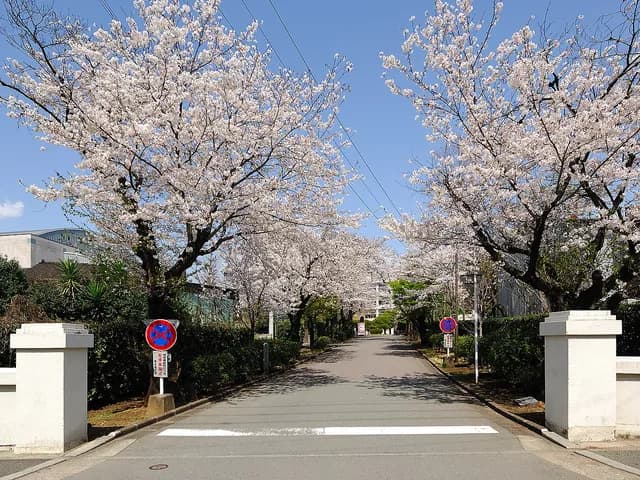 熊本高校の外観