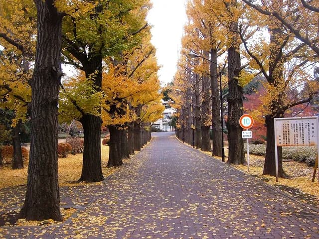 園芸高校の外観