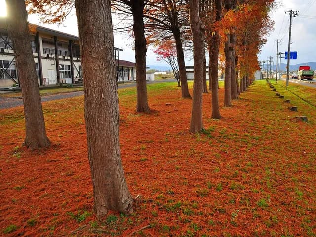 花巻農業高校の外観