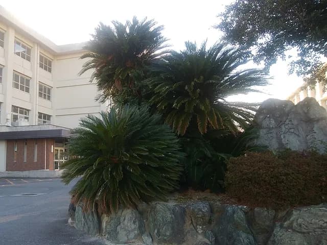 稲生高校の外観