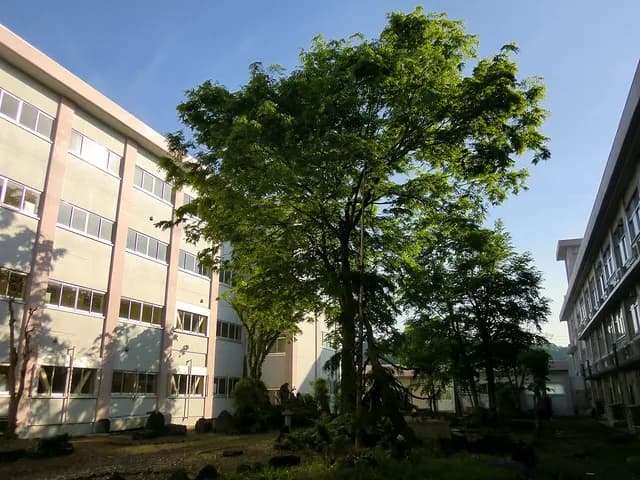 津南中等教育学校の外観