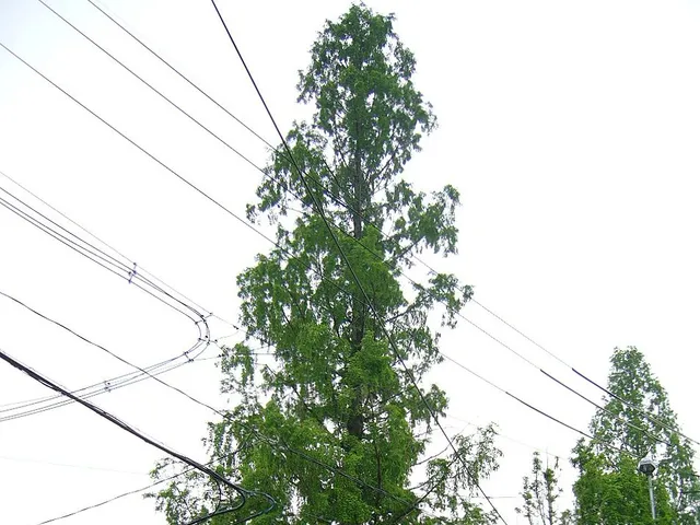 一条高校の外観