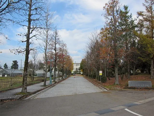 南砺福野高校の外観