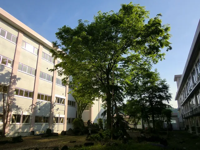津南中等教育学校の外観